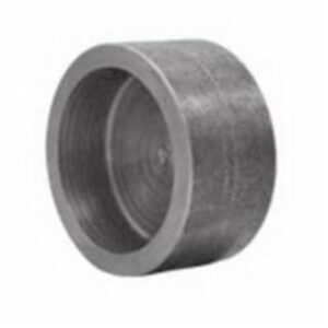 CAP SW I304 3000#  3/8"