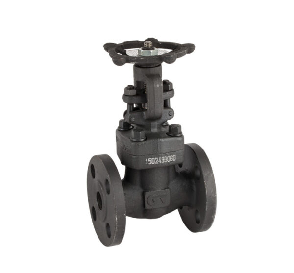 valvula gaveta a105 flange