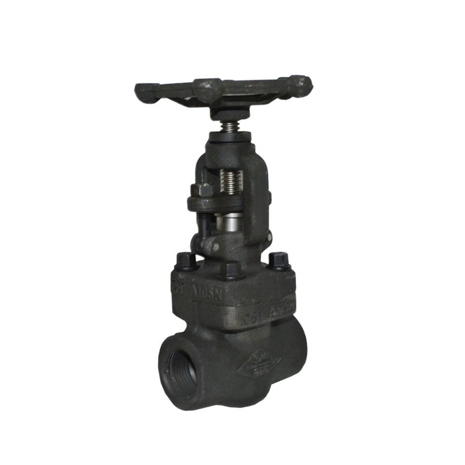 V LVULA GAVETA A105 800LBS 2 NPT Ellos Ferreira